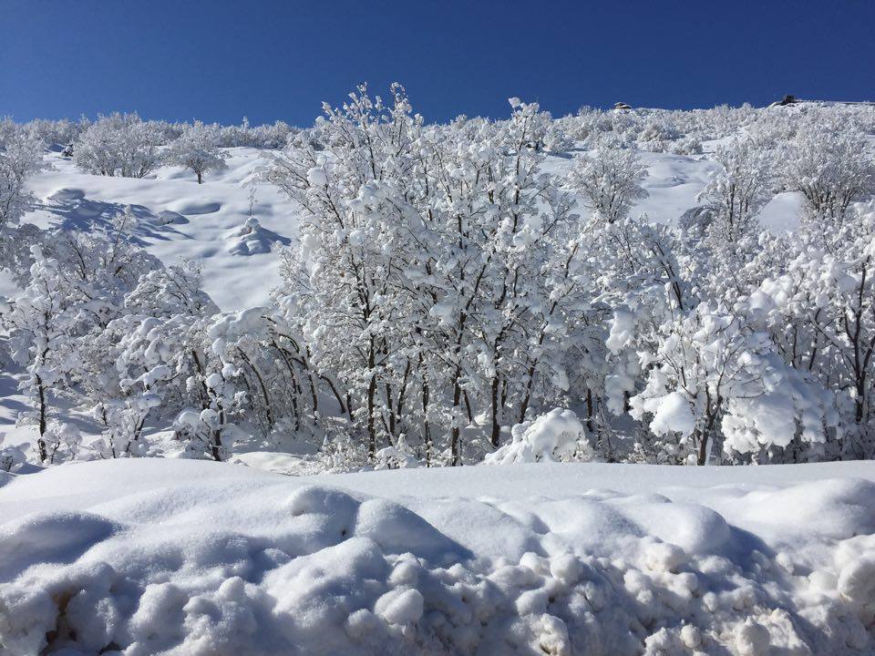 Kurdistan's 2016 bride, blanket of snow